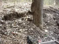 bottledump1.webp