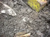 silverring1.webp