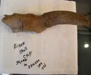 DSCN0616.webp