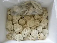 DSCN0617.webp