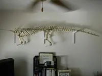 DSCN0618.webp