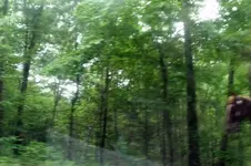 2010_0515Oldhomesite0115 (2).webp 2010_0515Oldhomesite0115 (2).webp