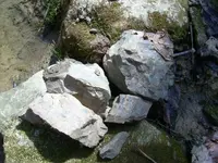 spring6.webp