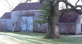 barn and tree 200 years old.webp