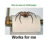 Save on Toilet Paper.webp