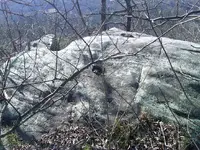 pointerrockledge.webp