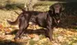 avatar_39165.webp