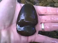 Tomahawk Creek find 5-8-2010 3.webp
