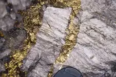 gold%20vein.webp