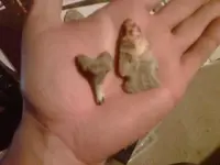 IMG00204-20100517-2156.webp