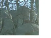 elephant.webp