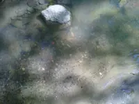 5-16 003.webp