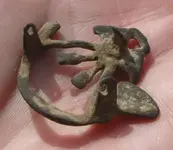 CF Bugle Back.webp