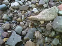 5-16 010.webp