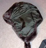 hood liner.webp