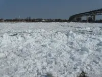 IMG_0540.webp