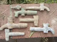 spigs.webp