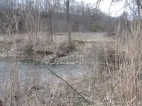 2010 finds 067.webp