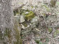 2010 finds 060.webp