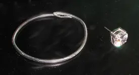 SilverFinds4-19-10.webp