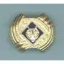 boy scout slide.webp