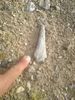 041900_1748[00].webp
