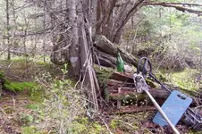 doorway miners cabin 1.webp