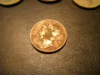 zap2010 004.webp