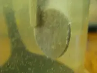 zap2010 005.webp