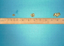 PC270005.GIF