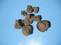 Broken Rock (Medium).webp