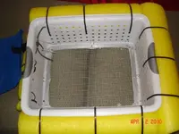 DSC00006.webp