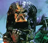 predator.webp
