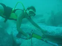 More Big Jetty Rock 2.webp