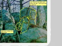 elephant Merged.webp