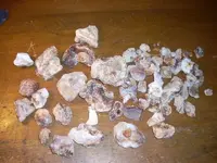 DSCN0318.webp