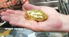 2lbnugget.webp