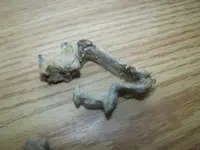 relics 088.webp