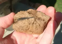 weirdrock2.webp