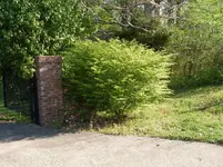 SDC10342.webp
