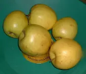Picture.webp