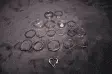 avatar_33015.webp