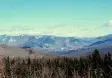 avatar_33015.webp