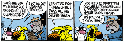 DOG TOONS.gif