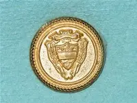 button crest shield.webp