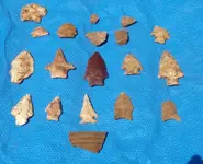 our finds.webp