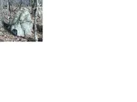 burnedbottomrock.webp