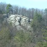 Picture 017.webp