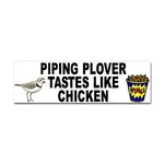 piplover.webp