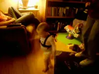 0428102100-00 (2).webp